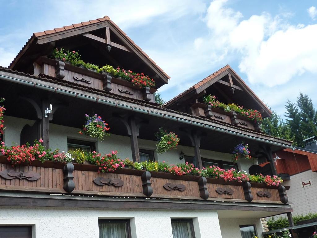 Pension Pretty Harrachov Exteriör bild